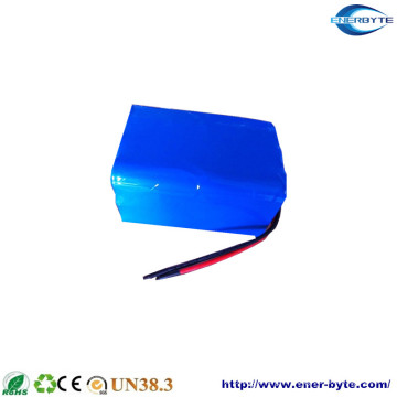 Batterie LiFePO4 48V 40ah